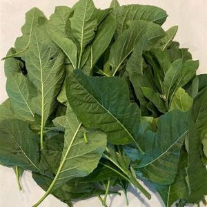Bitter Leaves