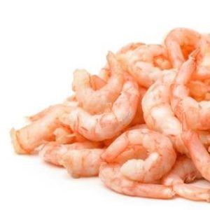 Shrimp