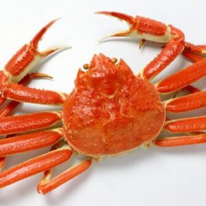 Crab