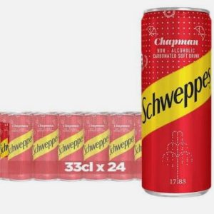 Schweppe Ginger Can 33cl